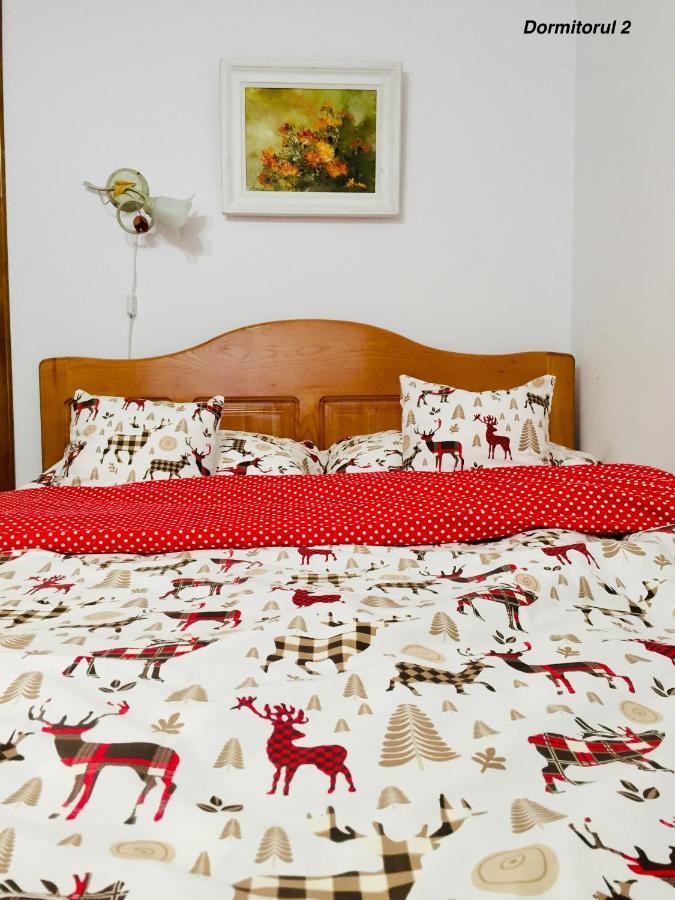 Apartament Veverite Slănic-Moldova Zewnętrze zdjęcie